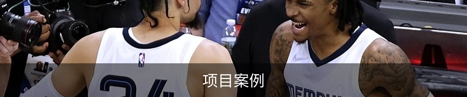 项目案例